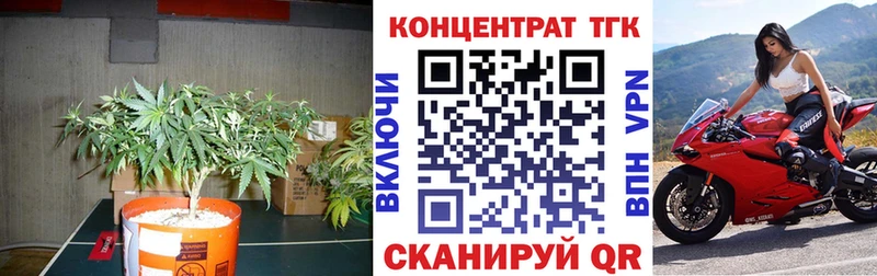blacksprut ссылки Плёс ТГК вейп с тгк купить