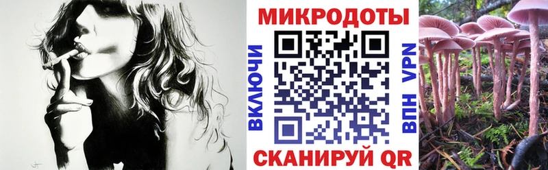 купить наркотики сайты  Плёс  Галлюциногенные грибы Psilocybine cubensis 